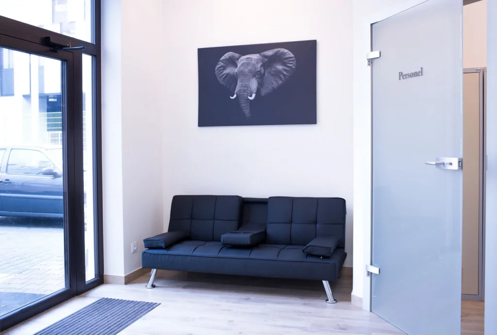 Poczekalnia gabinetu. Schludne, biało-granatowe wnętrze z sofą oraz obrazem ze słoniem.